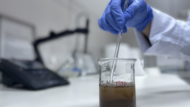 Antalya'daki laboratuvarda yapılan toprak analiziyle ormanlar için uygun ağaçlar belirleniyor