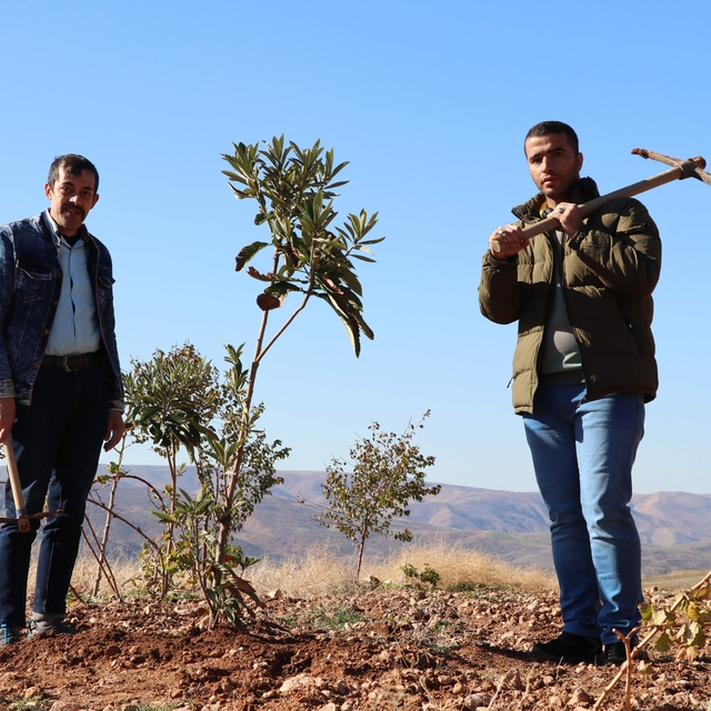 Siirt'te atıl arazi özel bireyler için hobi bahçesine dönüştürüldü