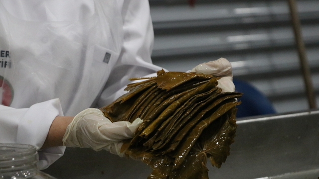 Siirt'te kadın kooperatifince kurulan salamura yaprak tesisinin açılışı yapıldı