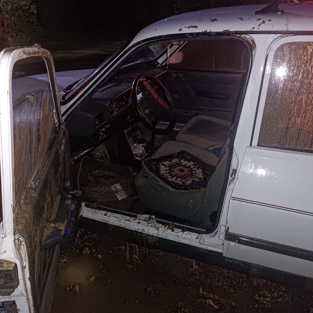 Aydın'da devrilen otomobilin sürücüsü yaralandı