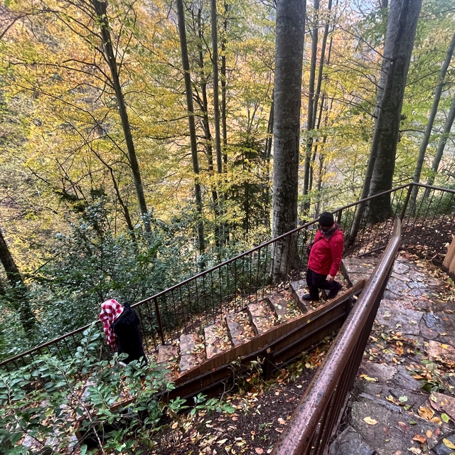 Düzce'deki "saklı cennet" olarak nitelenen tabiat parkı, her mevsim çekim m...