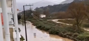 Yalova'da sağanak; dere taştı, mahsur kalan 4 yavru köpek kurtarıldı