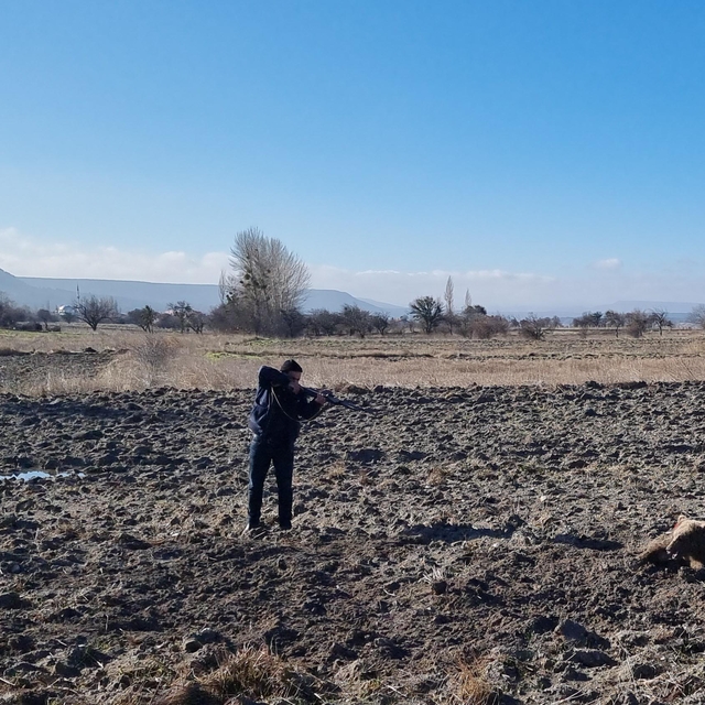 Yaralı bulunan bozayı, bayıltılarak tedaviye götürüldü