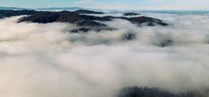 Çam Dağı'nda renk cümbüşüyle bütünleşen sis bulutu dronla görüntülendi