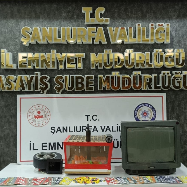 Şanlıurfa'da kumar operasyonunda 1 şüpheli yakalandı