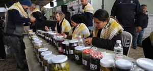 Gölbaşı Karagöl Zeytin Kültür ve Sanat Festivali, yapıldı