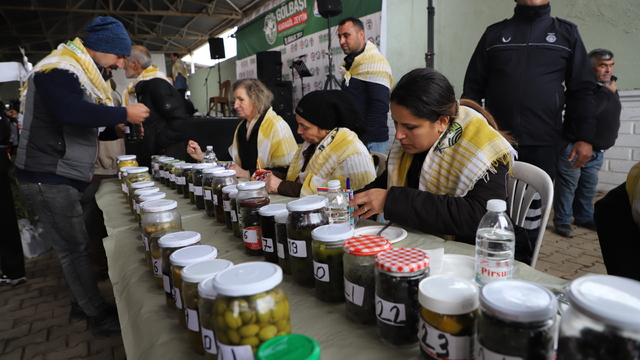 Gölbaşı Karagöl Zeytin Kültür ve Sanat Festivali, yapıldı