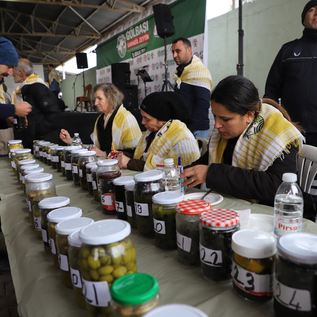 Gölbaşı Karagöl Zeytin Kültür ve Sanat Festivali, yapıldı