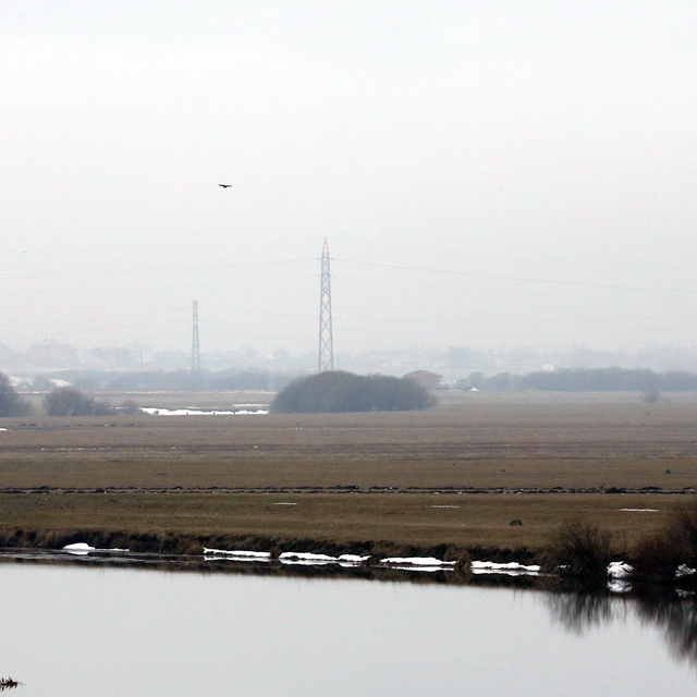 Kars ve Ardahan'da sis ulaşımı aksattı