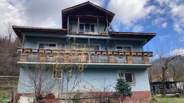 Galeri