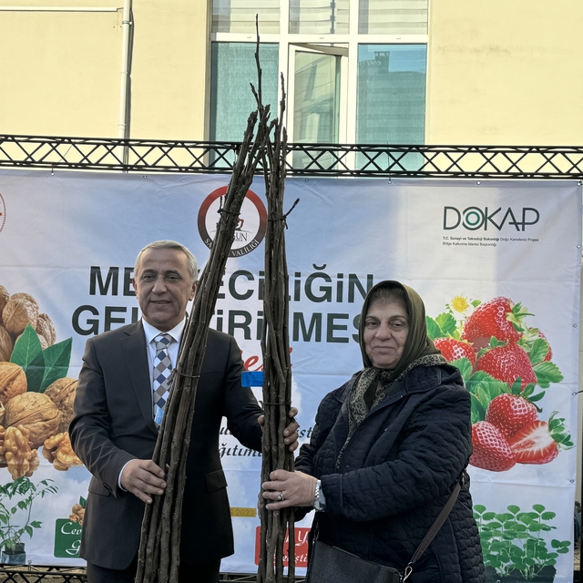 Samsun'da çiftçilere yüzde 80'i hibe olmak üzere 5 bin ceviz fidanı dağıtıl...