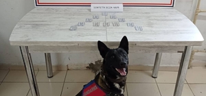 Ağrı'da çantasında uyuşturucu ele geçirilen İran uyruklu yolcu gözaltına al...