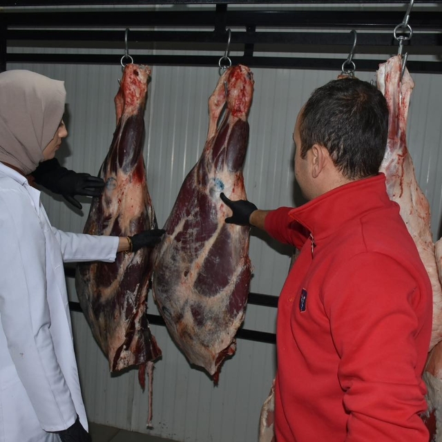 İskilip'te et ürünleri satan yerler denetlendi