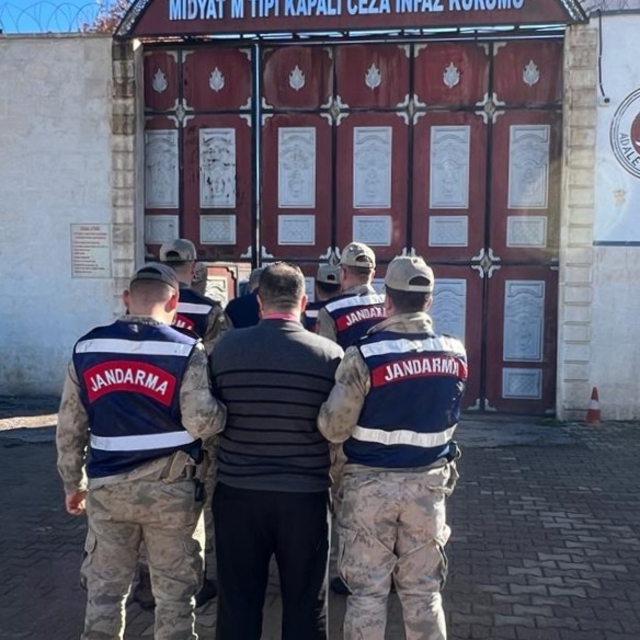 Mardin'de büyükbaş hayvan çaldığı iddia edilen 3 zanlı tutuklandı