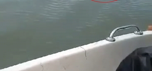 Elazığ´da baraj gölünü yüzerek geçen bozayı kamerada