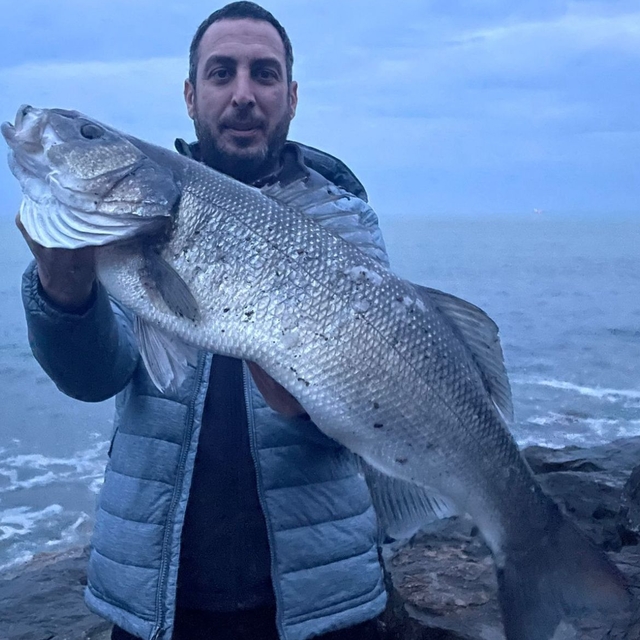 Akçakoca'da amatör balıkçı 8 kilogram ağırlığında levrek yakaladı