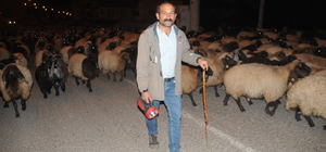 Şırnak'ta göçerlerin dönüş yolculuğu sürüyor