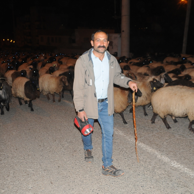 Şırnak'ta göçerlerin dönüş yolculuğu sürüyor