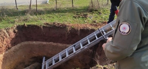 Tunceli'de kuyuya düşen köpeği itfaiye ve polis ekipleri kurtardı