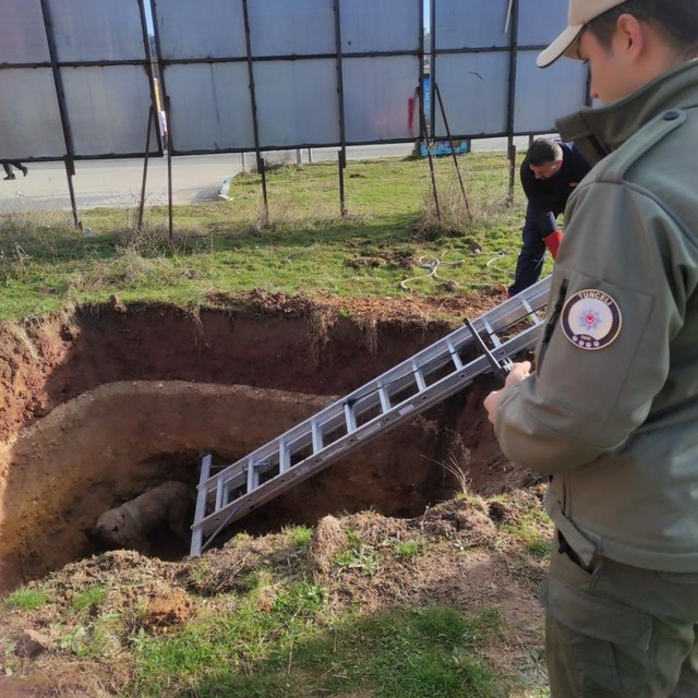 Tunceli'de kuyuya düşen köpeği itfaiye ve polis ekipleri kurtardı