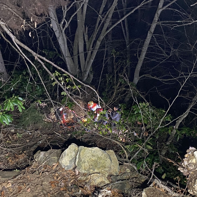 Artvin'de ormanda ağaç keserken uçurumdan düşen kişi öldü