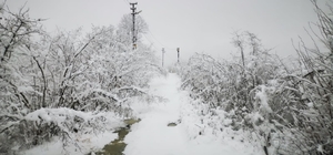 Salıpazarı'nın yüksek kesimlerine kar yağdı
