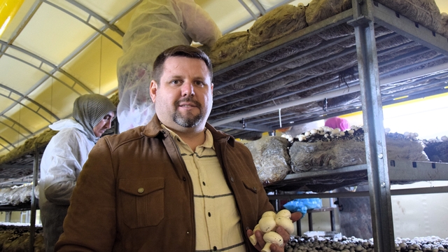 Bilecikli girişimci, devlet desteğiyle kurduğu tesiste bir yılda 100 ton kültür mantarı üretti