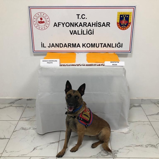 Afyonkarahisar'da uyuşturucu operasyonunda 2 kişi gözaltına alındı