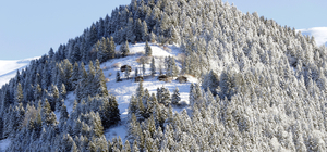 Ünlü turizm merkezi Uzungöl karla kaplandı