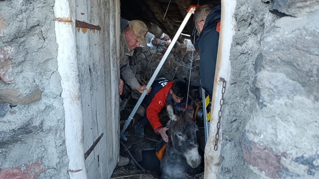 Samanlıktaki çukura düşen eşek, kurtarıldı