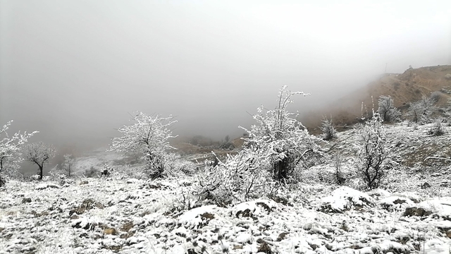 Amasya'da kar ve sis etkili oldu