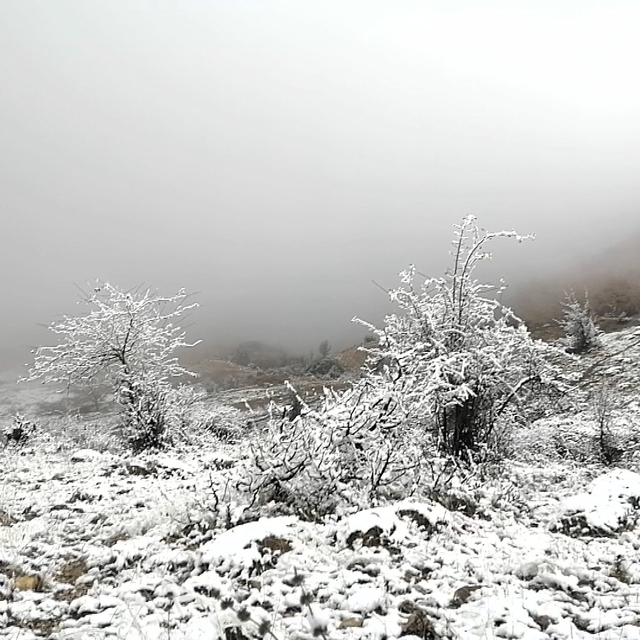 Amasya'da kar ve sis etkili oldu