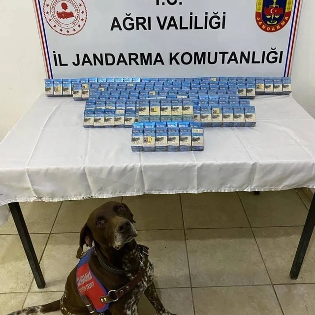 Ağrı'da kaçak sigaralarla yakalanan 6 şüpheli gözaltına alındı