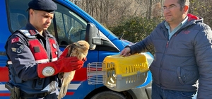 Afyonkarahisar'dan kısa kısa