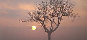 Tekirdağ'da sis etkili oldu 