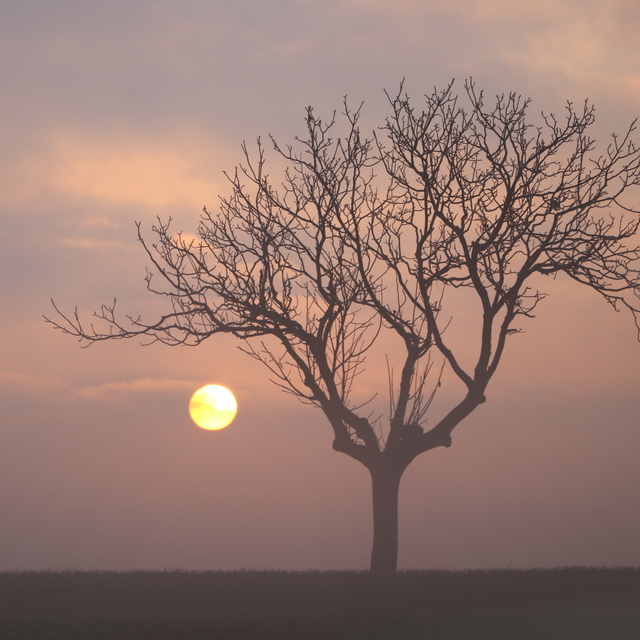 Tekirdağ'da sis etkili oldu