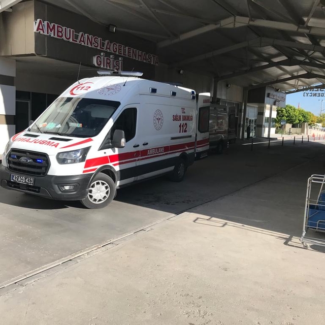 Anne ve 10 yaşındaki kızı, yedikleri mantardan zehirlendi