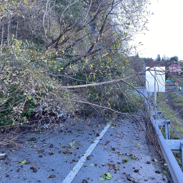 Arhavi-Hopa-Sarp Devlet Yolu'nda heyelan meydana geldi