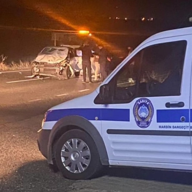 Otomobilin yolda çarptığı 4 at öldü, araçtaki 5 kişi yaralandı