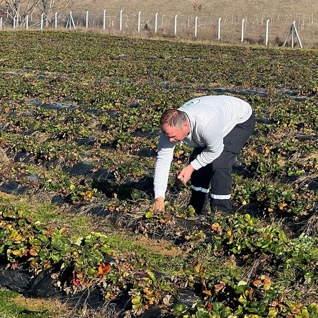 Tekirdağ'dan kısa kısa