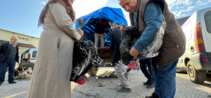 Bolu, Kandıra ve Eflani'de yetiştirilen hindilere yılbaşı öncesi talep arttı