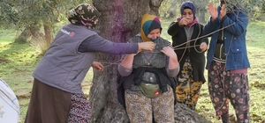 Edremit Körfezi'nde hasadı bitiren zeytin işçileri kahyayı ağaca bağlayıp t...
