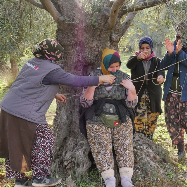 Edremit Körfezi'nde hasadı bitiren zeytin işçileri kahyayı ağaca bağlayıp t...