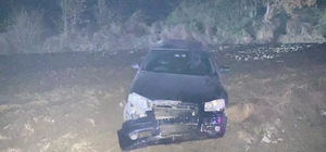 Bolu'da domuza çarpan otomobilin sürücüsü yaralandı