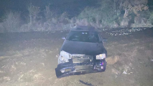 Bolu'da domuza çarpan otomobilin sürücüsü yaralandı