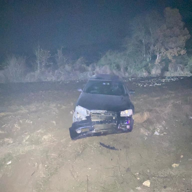 Bolu'da domuza çarpan otomobilin sürücüsü yaralandı