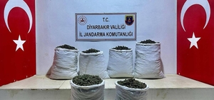 Diyarbakır'da 79 kilo esrar ele geçirildi