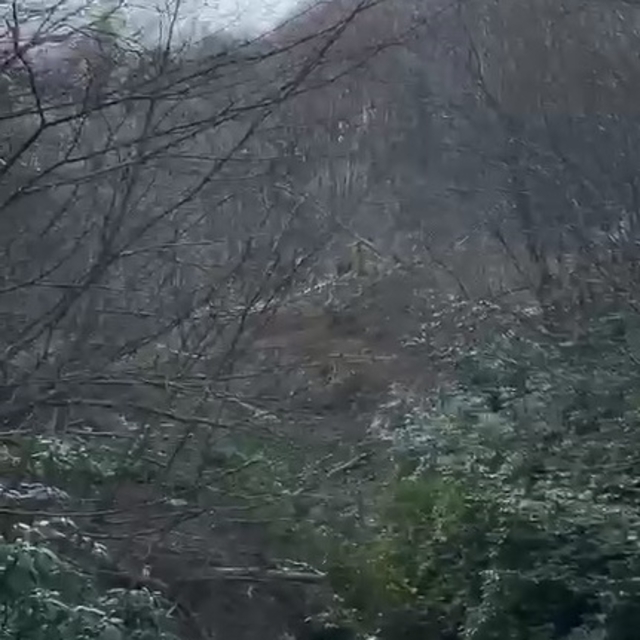 Ormanda çalışan görevliler, heyelanda toprak altında kalmaktan son anda kur...