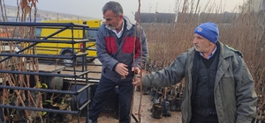 Kocaeli'de çiftçilere yüzde 50 hibeli meyve fidanı dağıtılıyor