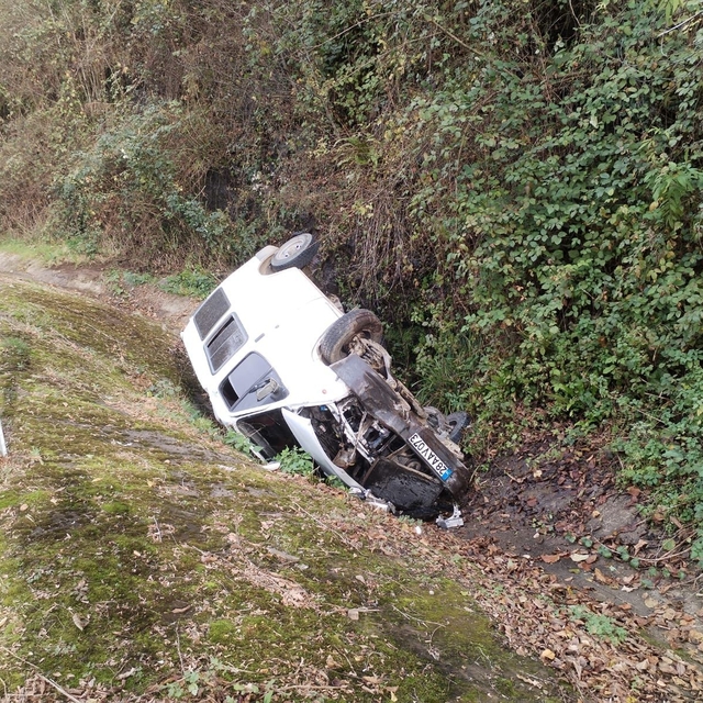 Trabzon'da minibüsün şarampole devrildiği kazada sürücü yaralandı